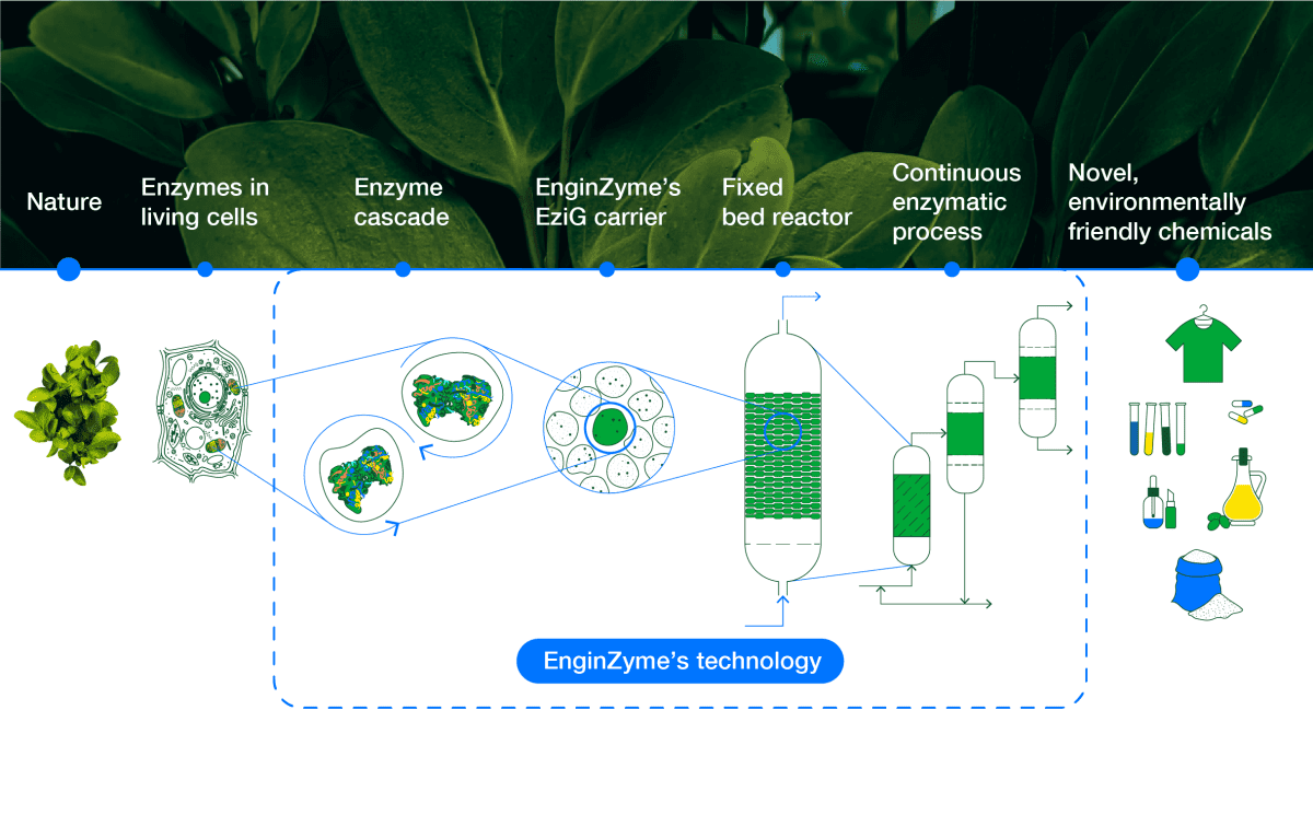 Biomanufacturing Goes Green With EnginZyme S Thrust For 21st Century