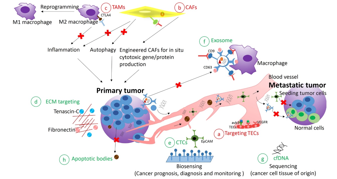 Precision Oncology Insights with Dr. Laurent Audoly, Parthenon ...