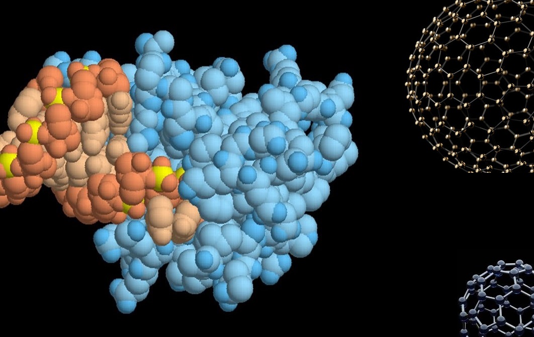 Molecular Nanocages: A Promising Tool For SiRNA Delivery - PharmaFeatures