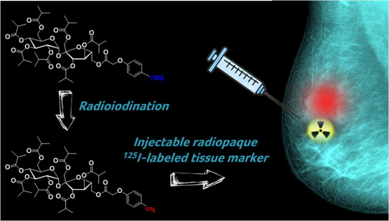Unleashing the Power of Radioligands and Radiopharmaceuticals in ...