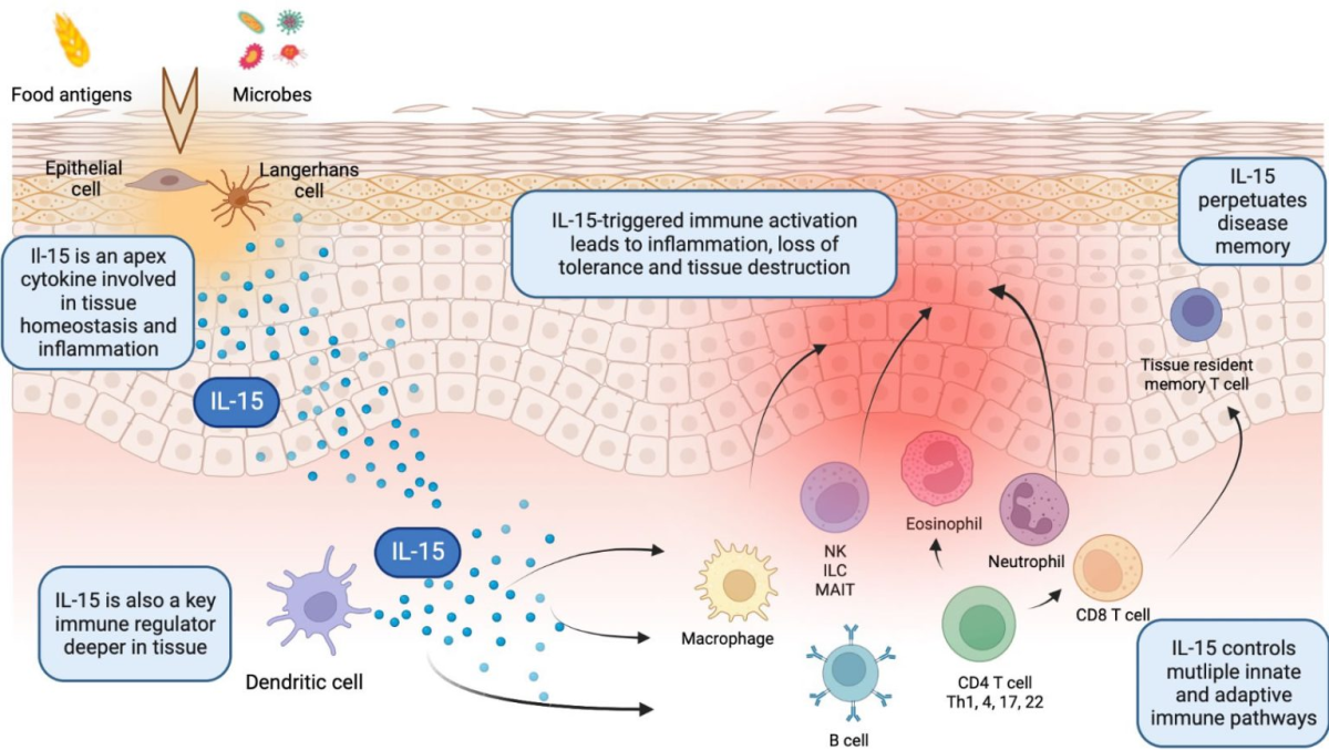 Novartis' Strategic Acquisition Of Calypso: A Game-Changer In ...