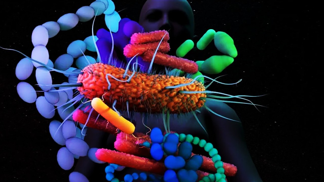 Microbial Oncology: Biotic-Derived Modulators of Dysbiosis, Immunity, and Tumor Suppression Across Experimental and Clinical Landscapes